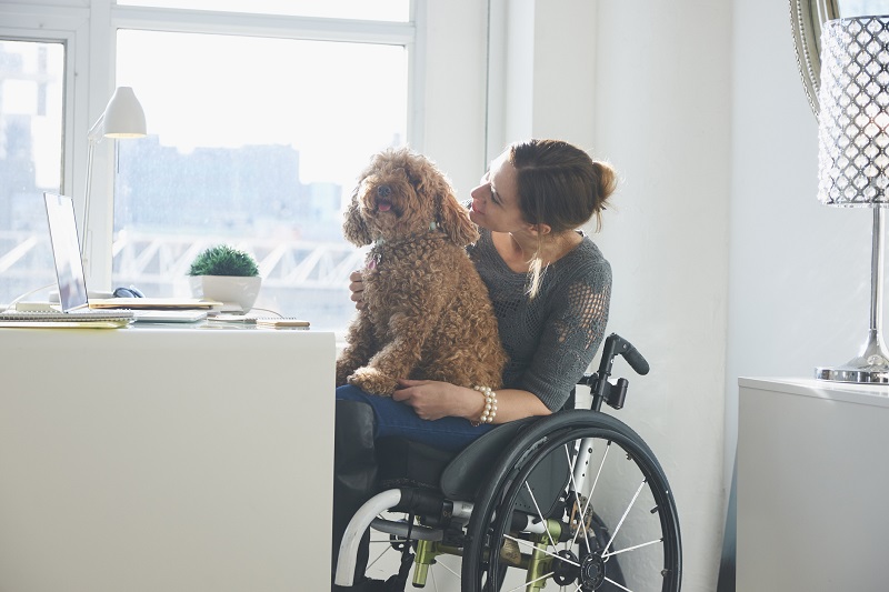 ¿Sabes qué es el Seguro de Invalidez y Sobrevivencia?
