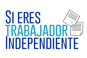INFOGRAFIA: ¿Sabes cómo llenar la planilla para pagar tus cotizaciones previsionales?  